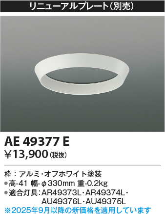 AE49377E