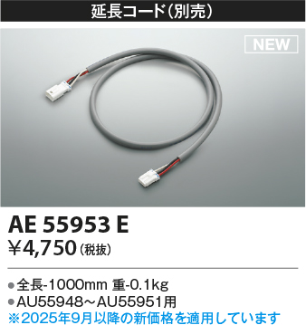 AE55953E