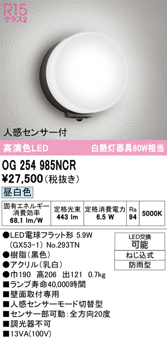 OG254985NCR