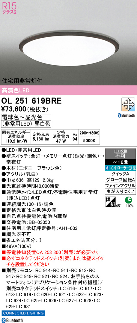 OL251619BRE