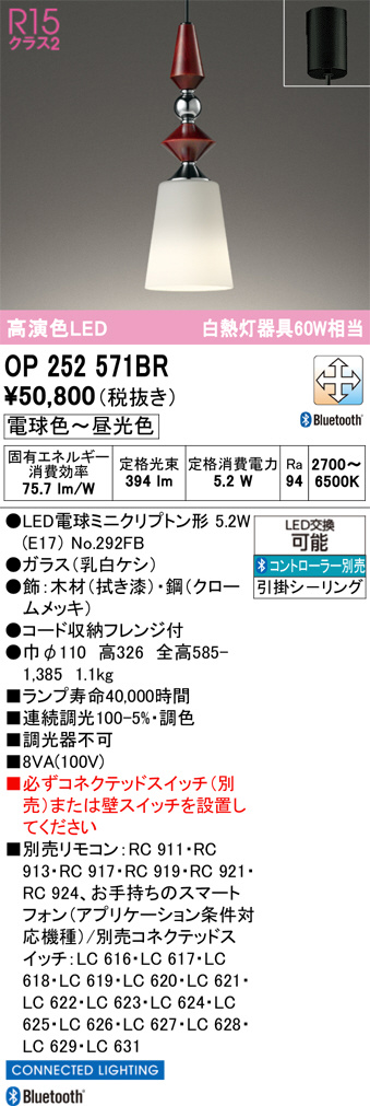 OP252571BR