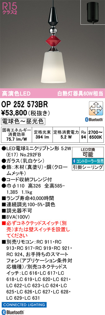 OP252573BR