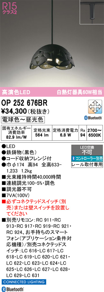 OP252676BR